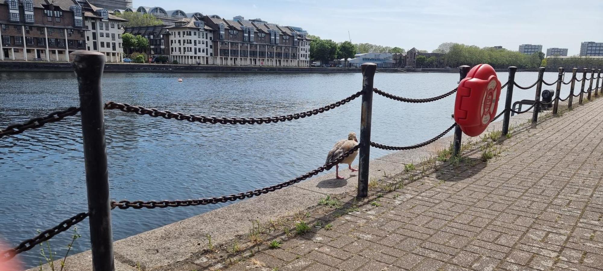 Riverside 3Br With Easy Transport 20Mins To City Centre London Exterior foto