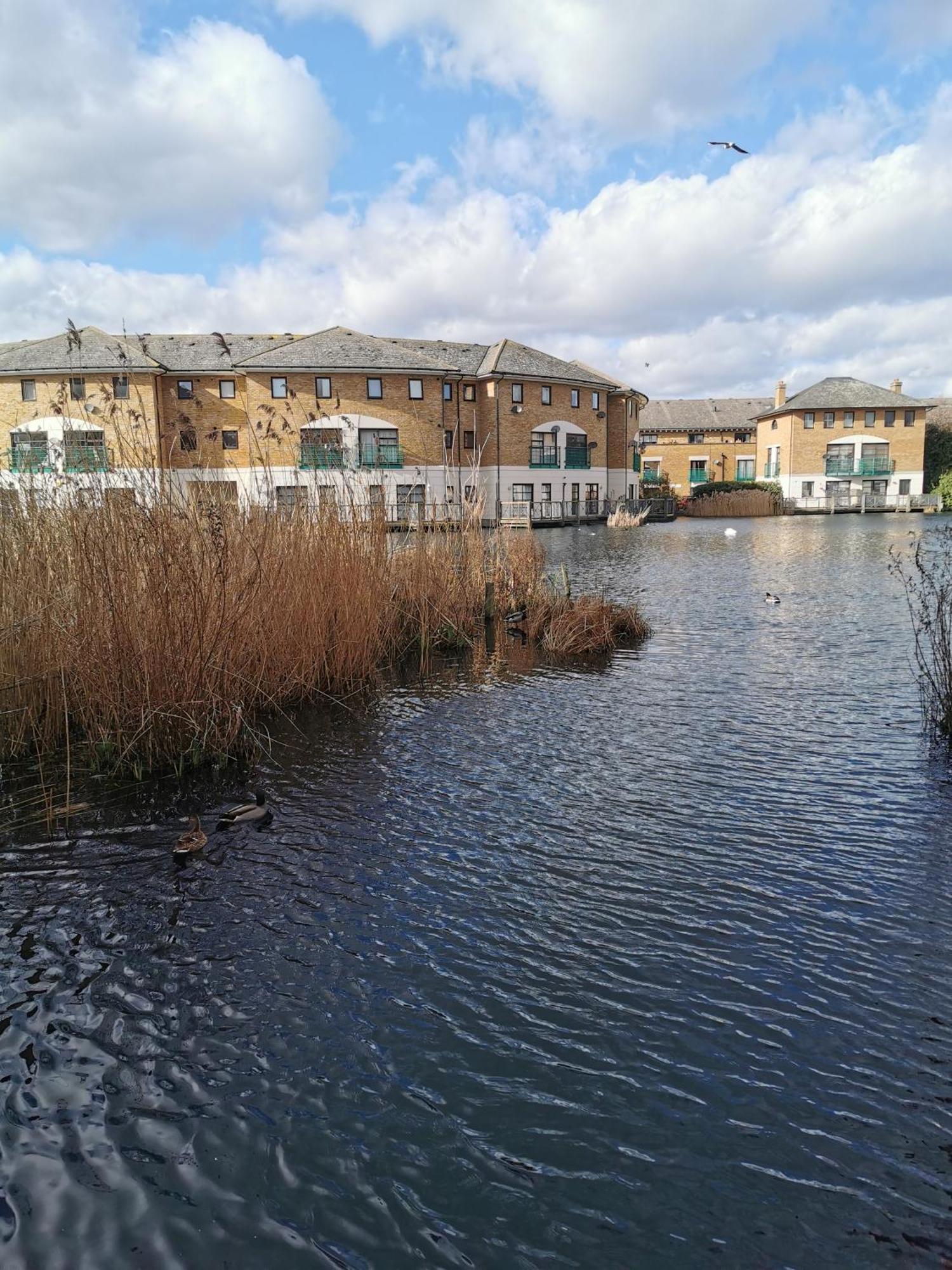 Riverside 3Br With Easy Transport 20Mins To City Centre London Exterior foto